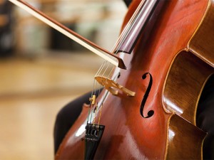 Смычки, струны и другие аксессуары для виолончели в Минотавре